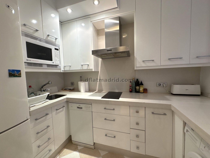 Central Apartment in Salamanca of 2 Bedrooms #510 in Madrid