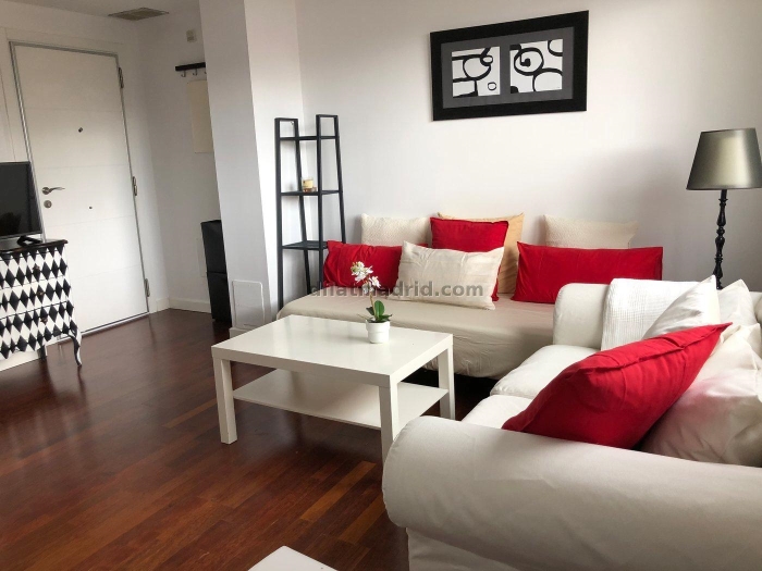 Apartamento Luminoso en Chamartin de 1 Dormitorio #520 en Madrid