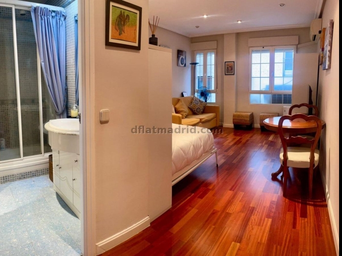 Bright Studio in Centro #650 in Madrid