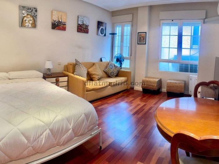Bright Studio in Centro #650 in Madrid