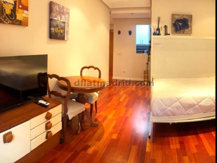 Bright Studio in Centro #650 in Madrid