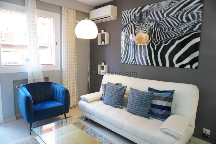 Apartamento Luminoso en Chamartin de 1 Dormitorio #865 en Madrid