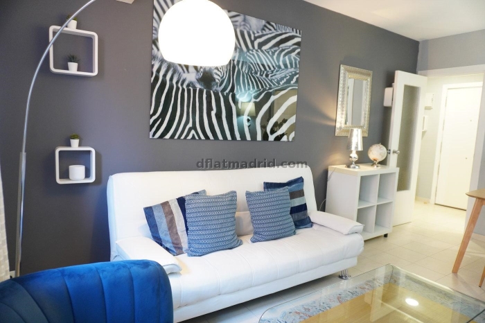 Apartamento Luminoso en Chamartin de 1 Dormitorio #865 en Madrid
