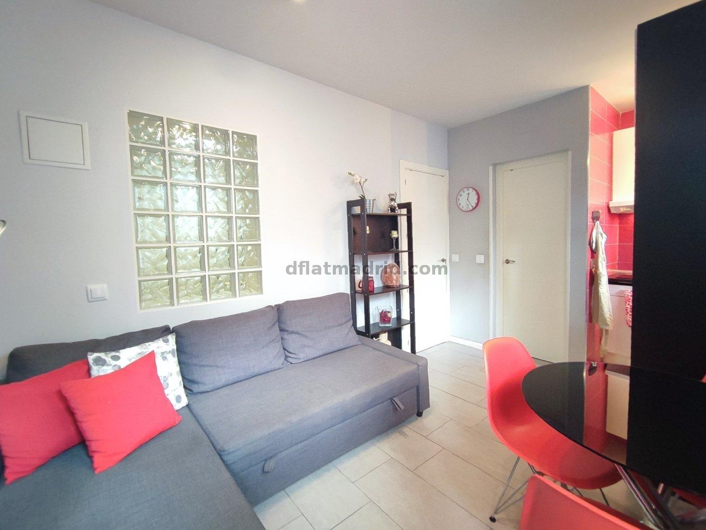 Apartamento Céntrico en Chamberi de 1 Dormitorio #1546 en Madrid