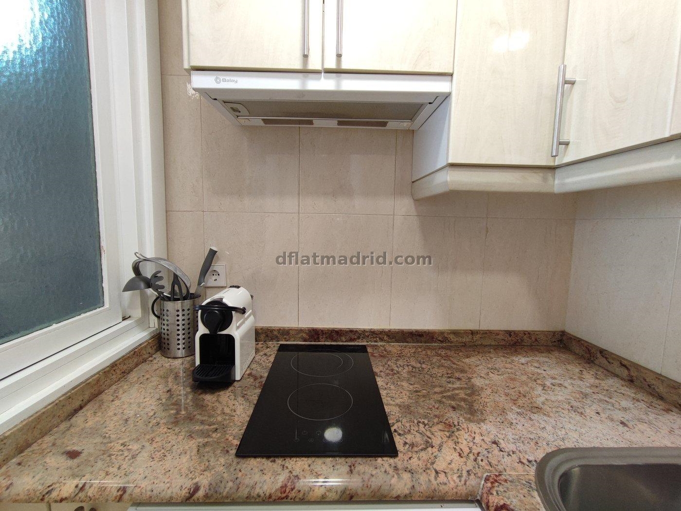 Apartment in Chamartin of 1 Bedroom with terrace #1721 in Madrid