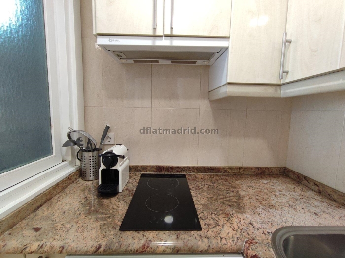 Apartment in Chamartin of 1 Bedroom with terrace #1721 in Madrid