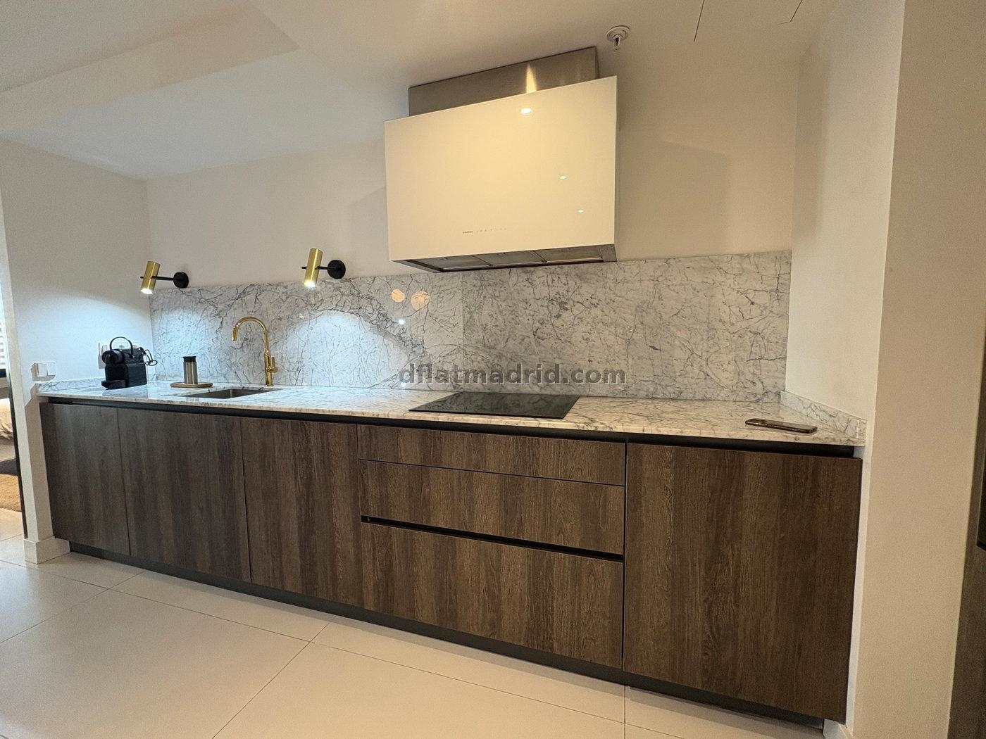 Apartamento Luminoso en Chamartin de 1 Dormitorio #1739 en Madrid