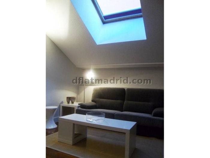 Central Apartment in Salamanca of 1 Bedroom #841 in Madrid