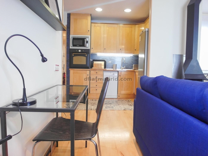 Penthouse with Terrace in Retiro of 2 Bedrooms #1594 in Madrid