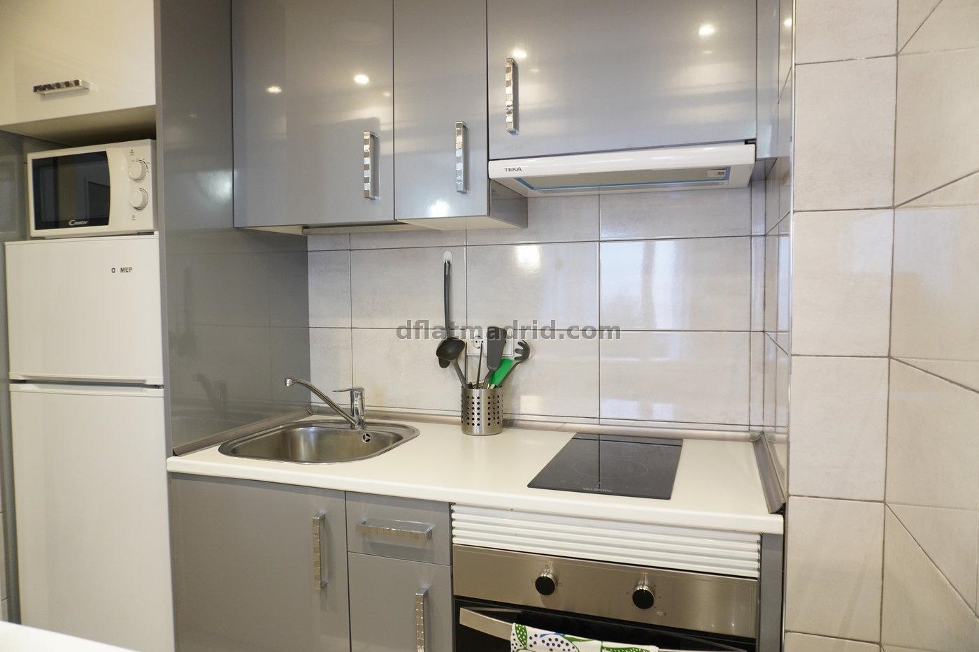 Apartment in Chamartin of 1 Bedroom with terrace #1606 in Madrid