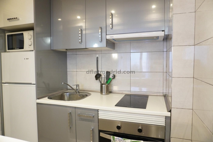 Apartment in Chamartin of 1 Bedroom with terrace #1606 in Madrid
