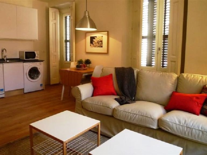 Apartamento Luminoso en Centro de 2 Dormitorios #1032 en Madrid