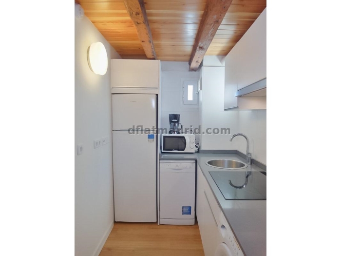 Quiet Penthouse in Centro of 1 Bedroom #1034 in Madrid