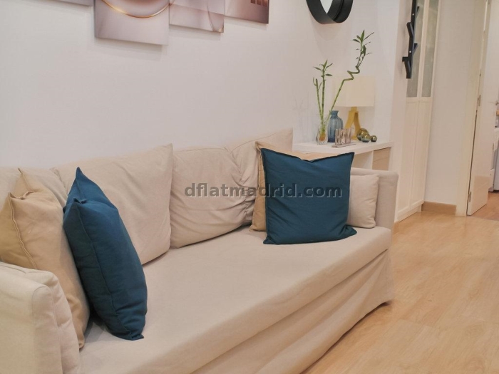 Apartamento Tranquilo en Chamartin de 2 Dormitorios #1809 en Madrid
