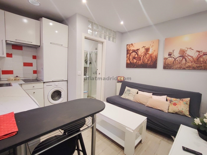 Apartamento Tranquilo en Centro de 1 Dormitorio #1812 en Madrid