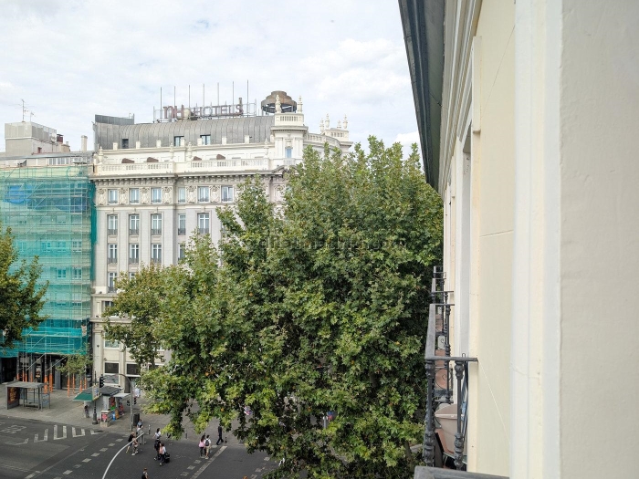 Apartamento Luminoso en Centro de 1 Dormitorio #1846 en Madrid