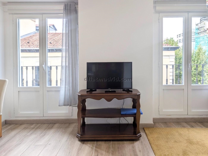 Apartamento Luminoso en Centro de 1 Dormitorio #1846 en Madrid