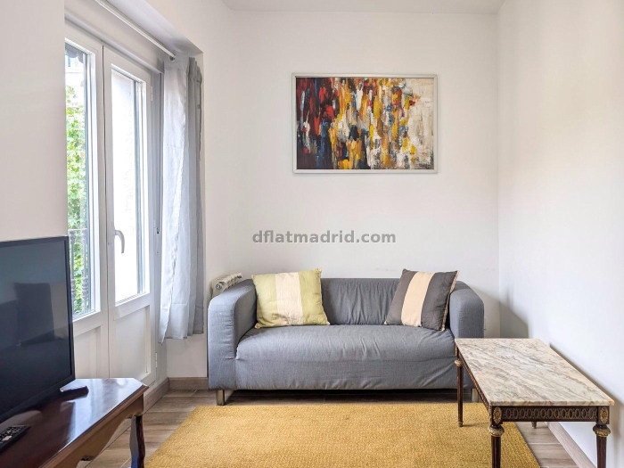 Apartamento Luminoso en Centro de 1 Dormitorio #1846 en Madrid