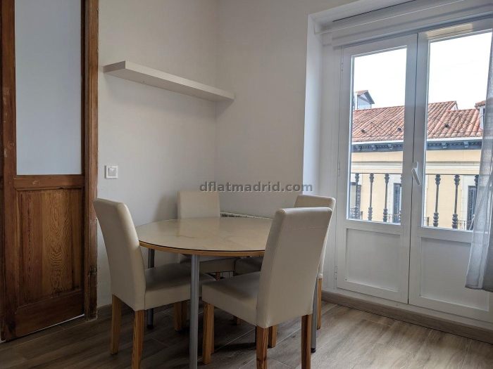 Apartamento Luminoso en Centro de 1 Dormitorio #1846 en Madrid