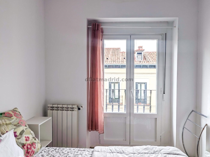 Apartamento Luminoso en Centro de 1 Dormitorio #1846 en Madrid