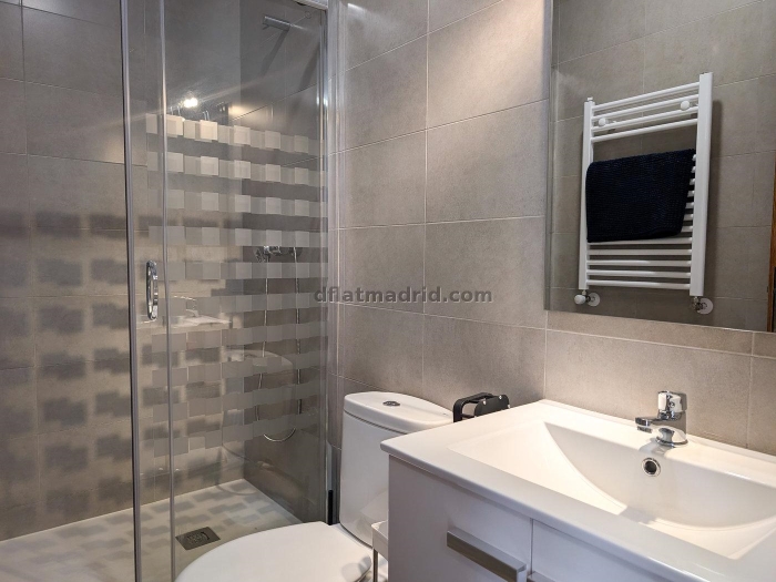 Apartamento Luminoso en Centro de 1 Dormitorio #1846 en Madrid