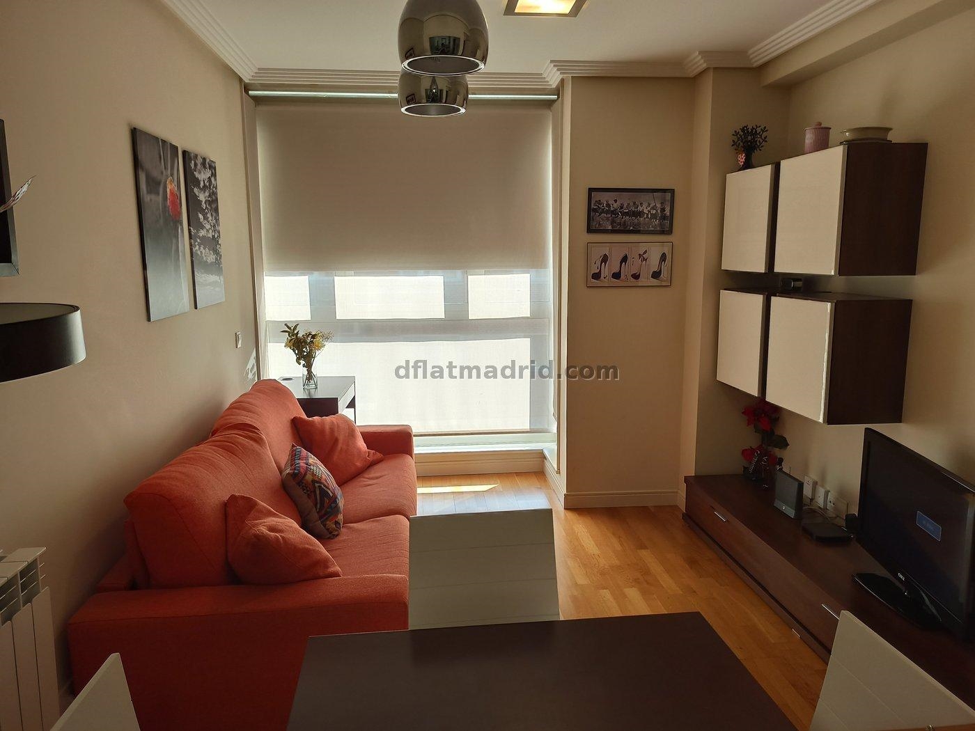 Bright Apartment in Chamartin of 1 Bedroom #1848 in Madrid