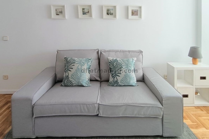 Central Apartment in Salamanca of 1 Bedroom #1877 in Madrid