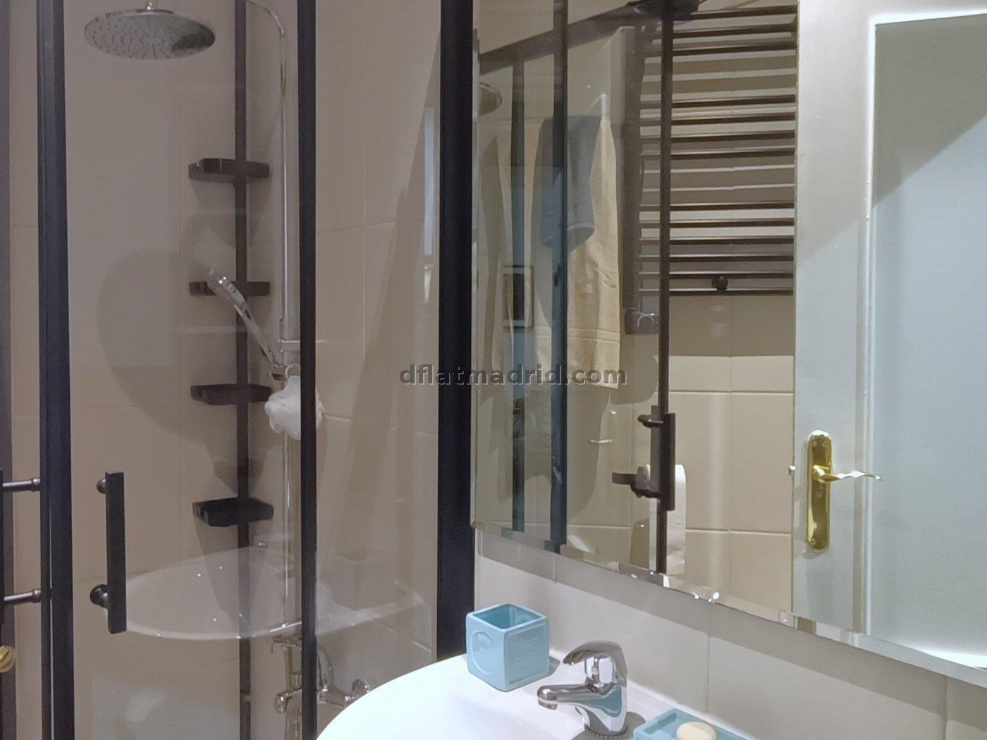 1 Bedroom Apartment with Terrace #1918 in Madrid