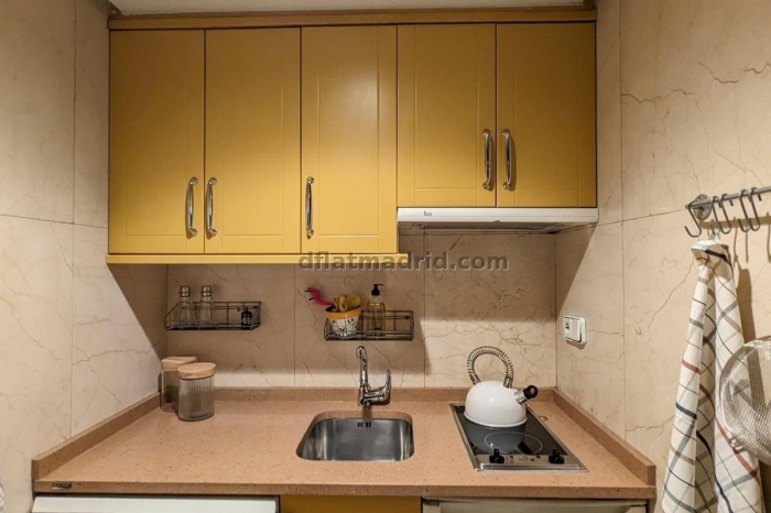Apartamento Céntrico en Salamanca de 1 Dormitorio #1920 en Madrid