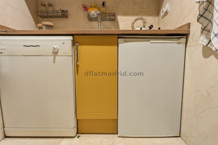 Apartamento Céntrico en Salamanca de 1 Dormitorio #1920 en Madrid