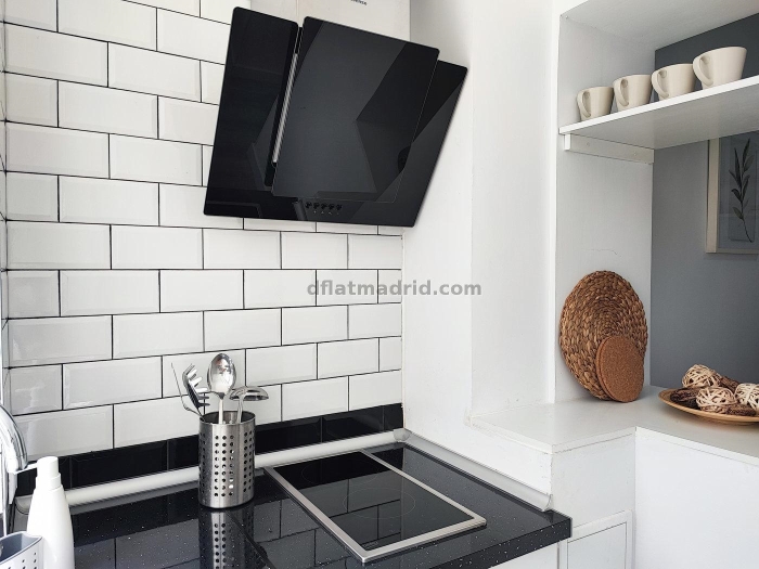 Cosy Apartment in Chamartin of 1 Bedroom #1891 in Madrid