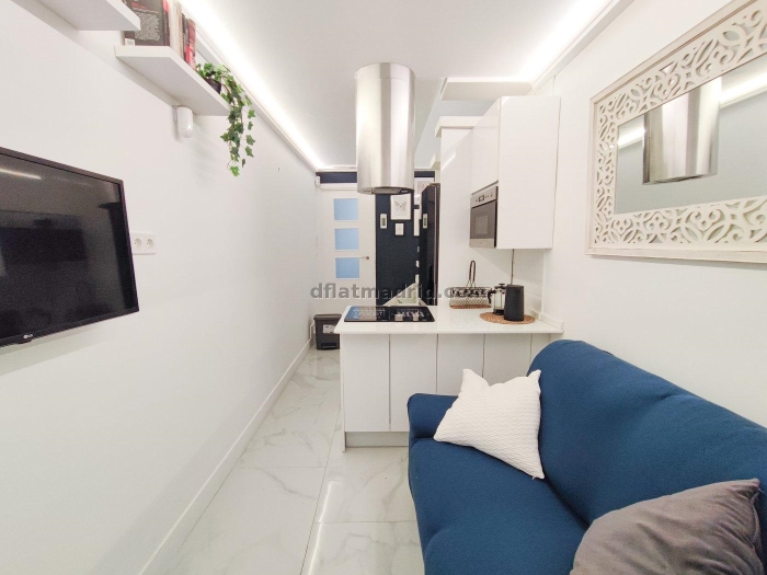 Cosy Apartment in Arganzuela of 1 Bedroom #1954 in Madrid