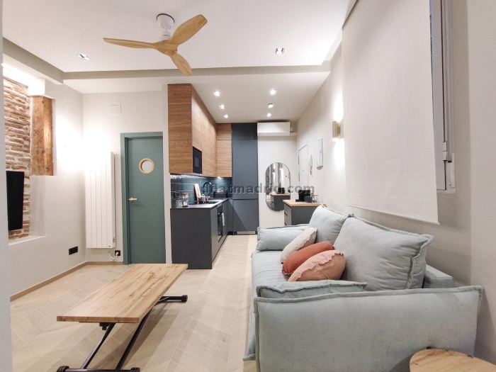 Apartamento en Centro de 1 Dormitorio #1970 en Madrid