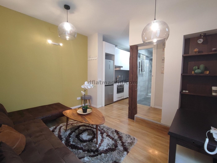 Apartment in Centro of 1 Bedroom #1971 in Madrid