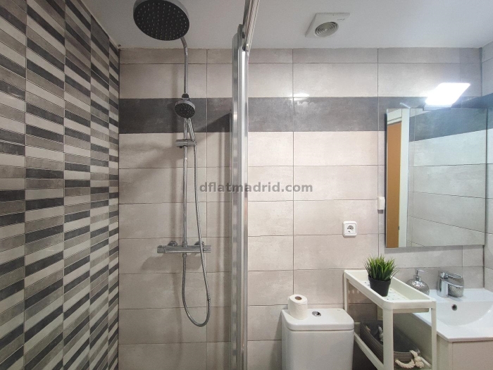 Apartment in Centro of 1 Bedroom #1971 in Madrid