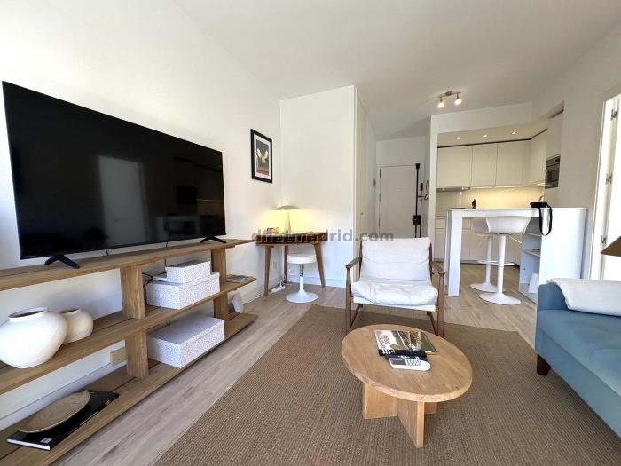 Apartamento en Chamartin de 1 Dormitorio #2000 en Madrid