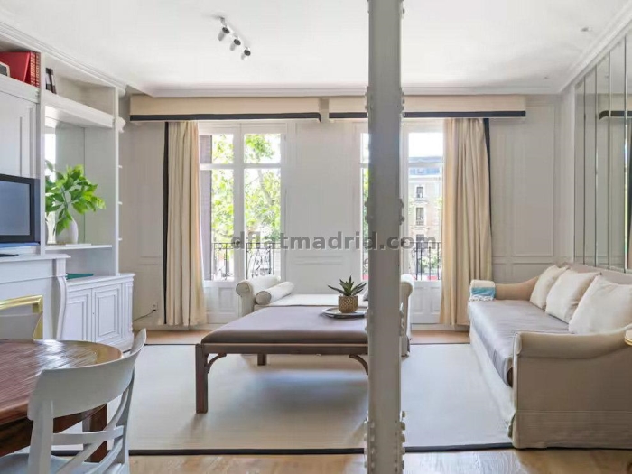 Spacious Apartment in Retiro of 3 Bedrooms #2011 in Madrid