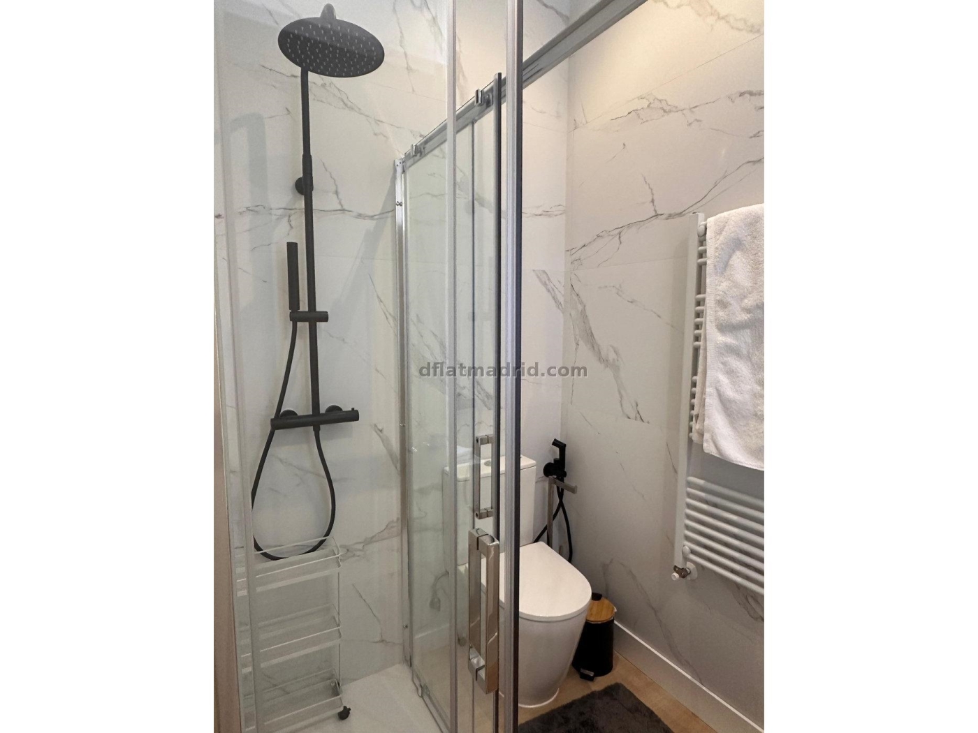 Spacious Apartment in Salamanca of 3 Bedrooms #2009 in Madrid