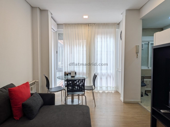 Apartment in Chamartin of 1 Bedroom #2013 in Madrid