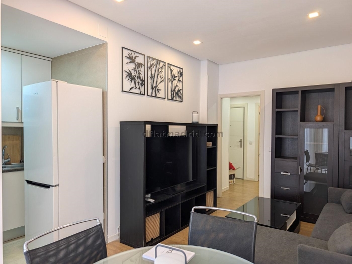 Apartment in Chamartin of 1 Bedroom #2013 in Madrid