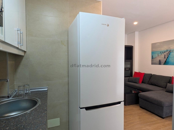Apartment in Chamartin of 1 Bedroom #2013 in Madrid