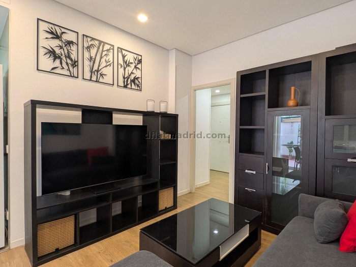 Apartment in Chamartin of 1 Bedroom #2013 in Madrid