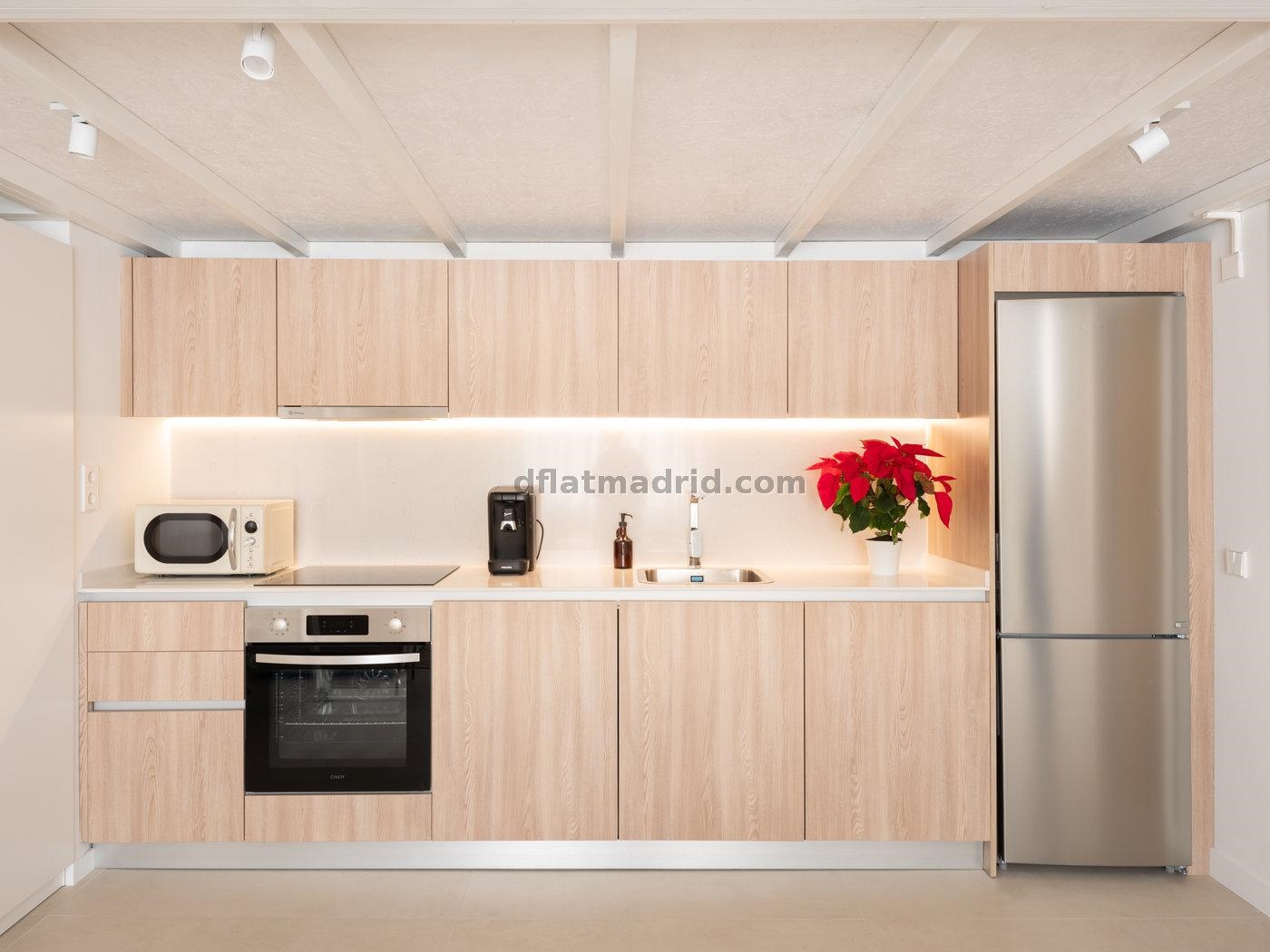 Apartamento Fuencarral de 1 Dormitorio #2032 en Madrid