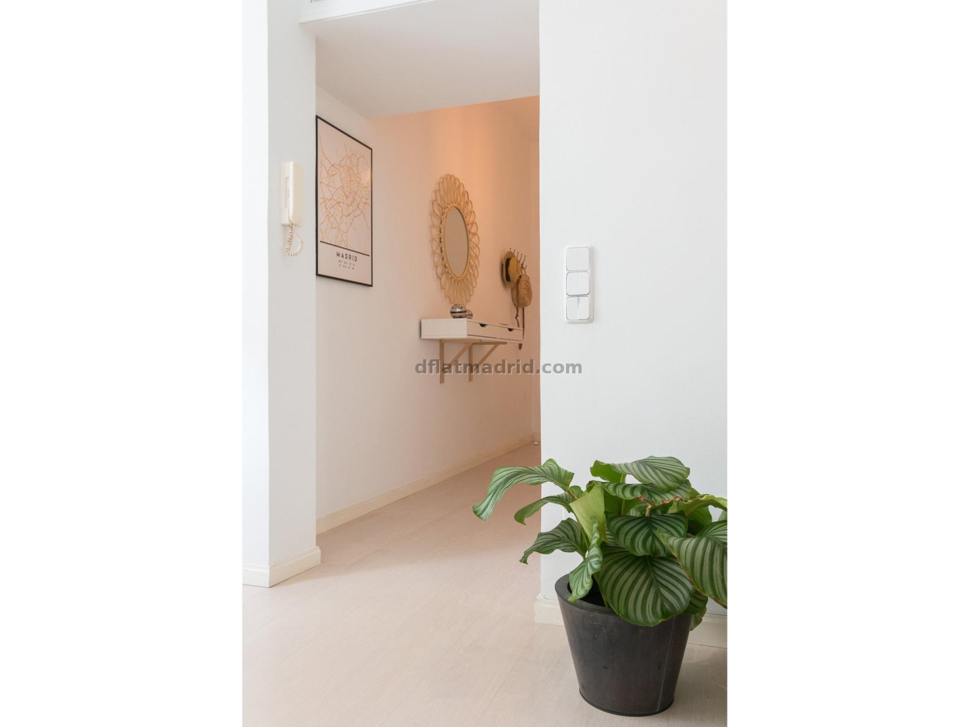 Apartment in Centro of 1 Bedroom #2033 in Madrid