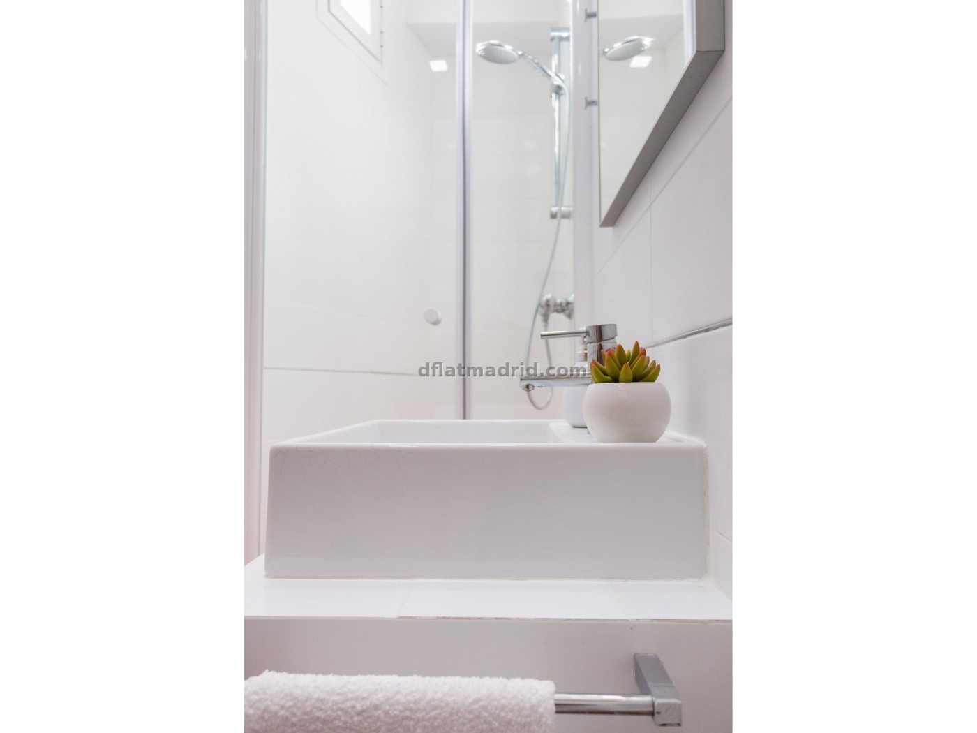Apartment in Centro of 1 Bedroom #2033 in Madrid