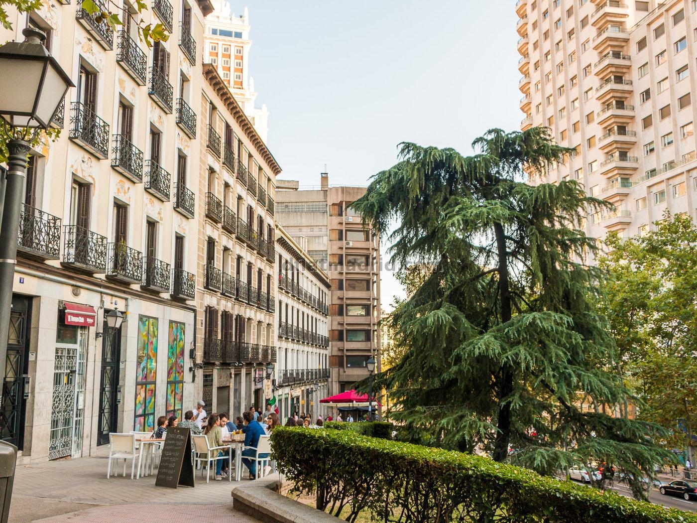 Apartment in Centro of 1 Bedroom #2033 in Madrid