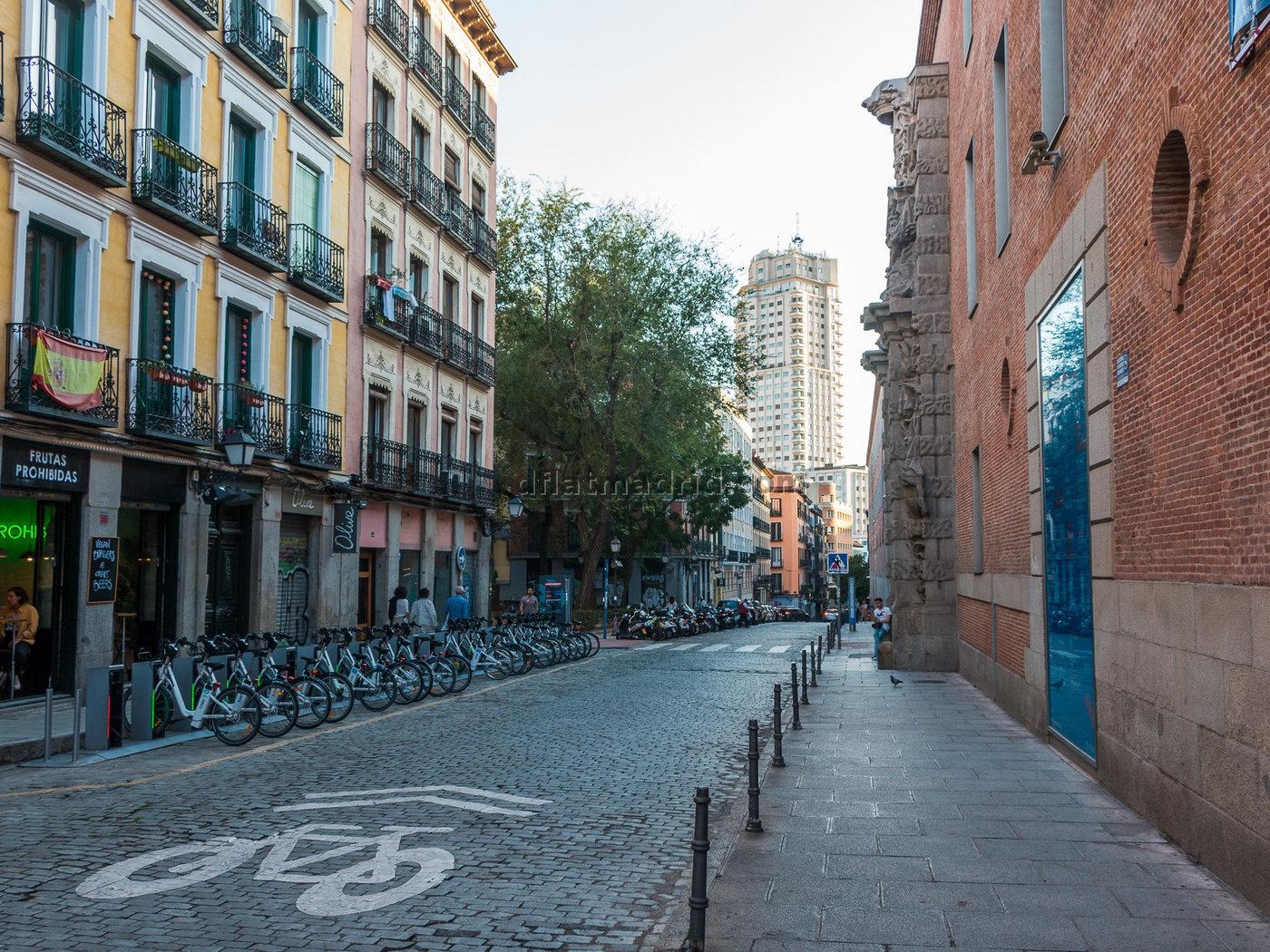 Apartment in Centro of 1 Bedroom #2033 in Madrid
