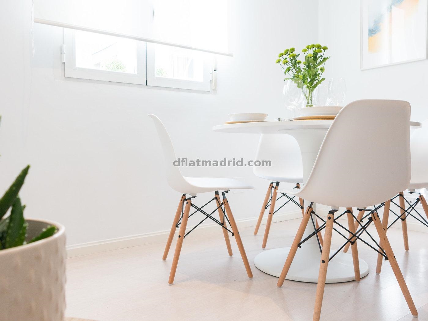 Apartment in Centro of 1 Bedroom #2033 in Madrid