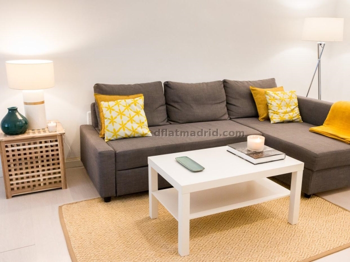 Apartment in Centro of 1 Bedroom #2033 in Madrid
