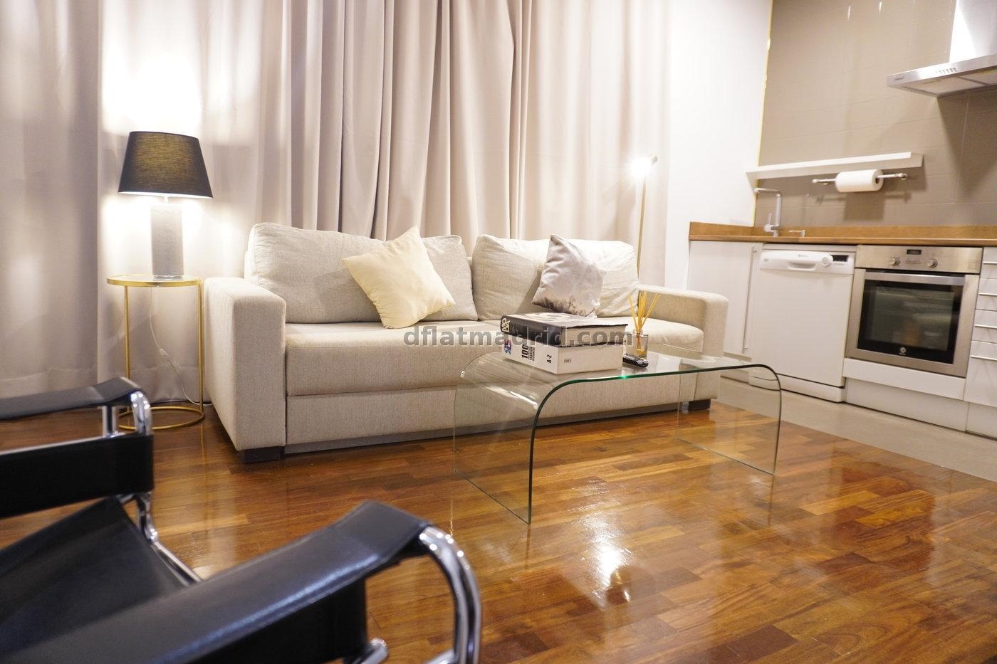 Apartment in Salamanca of 1 Bedroom #2035 in Madrid